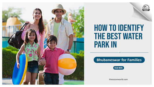 How to Identify the Best Water Park in Bhubaneswar for Families