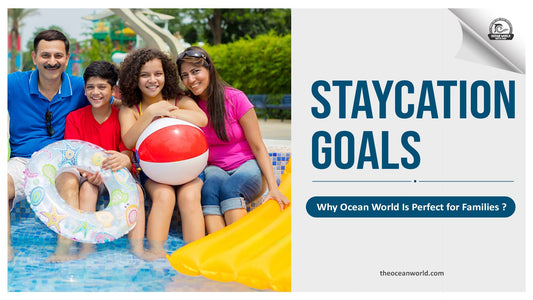 The Ocean World 